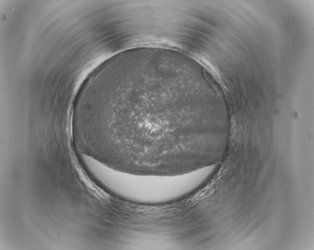 X0000087381128200705111729