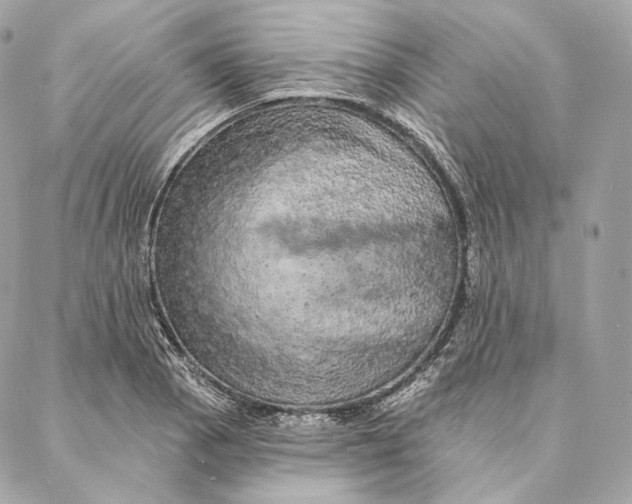 X0000087381129200705111729