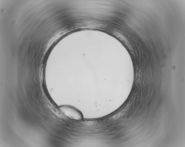 X0000087381130200705111729