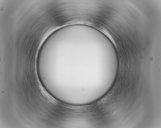 X0000087381132200705111729