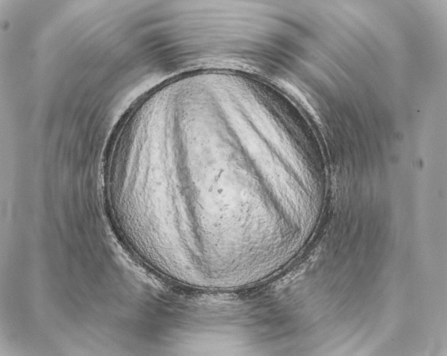 X0000087381133200705111729