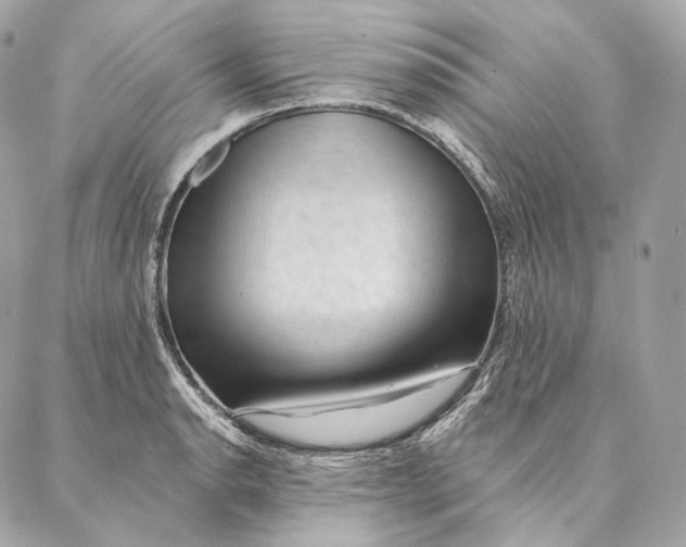 X0000087381134200705111729