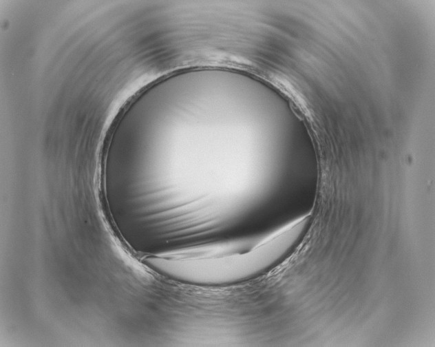 X0000087381136200705111729