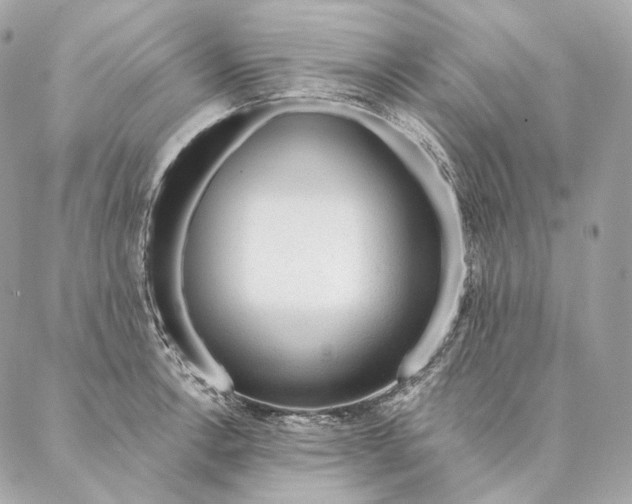 X0000087381138200705111729