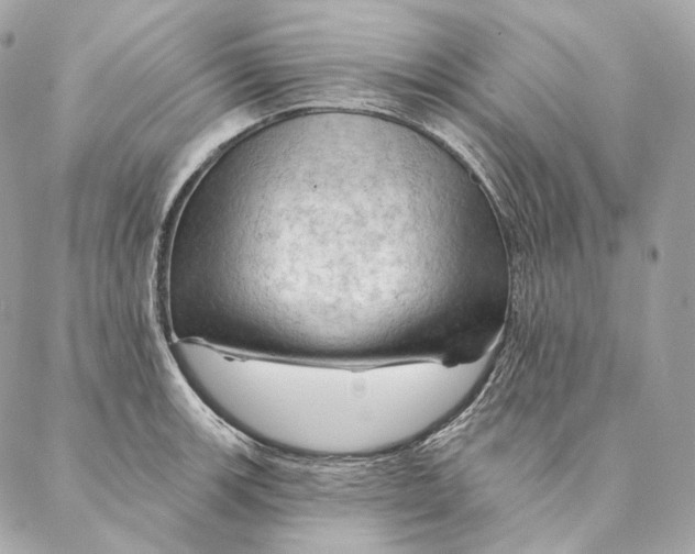 X0000087381139200705111729