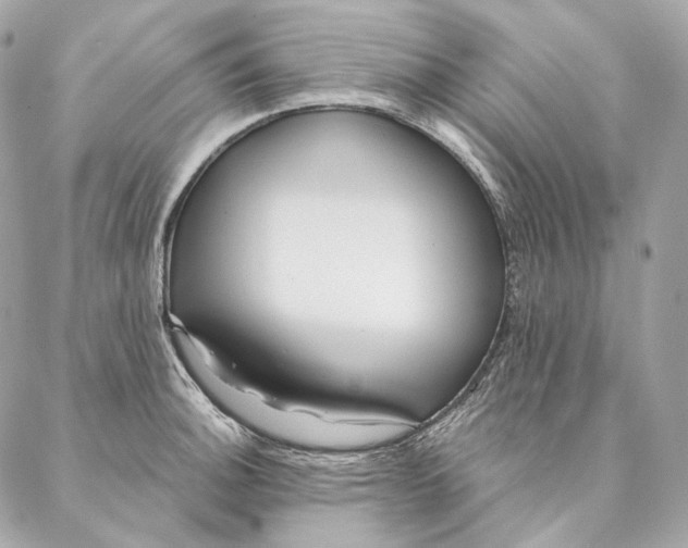 X0000087381140200705111729