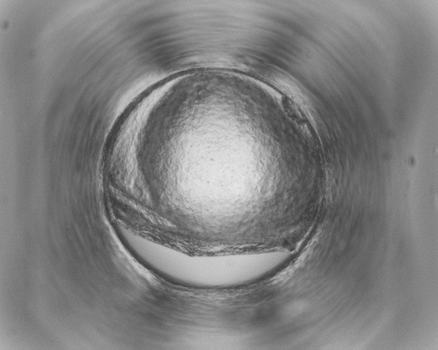 X0000087381141200705111729