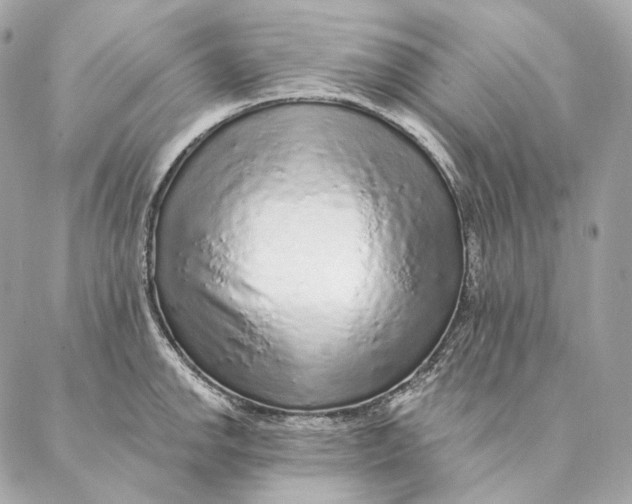 X0000087381142200705111729