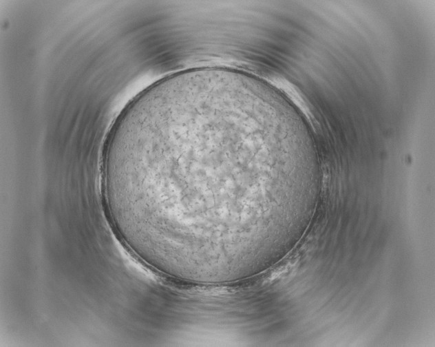 X0000087381143200705111729