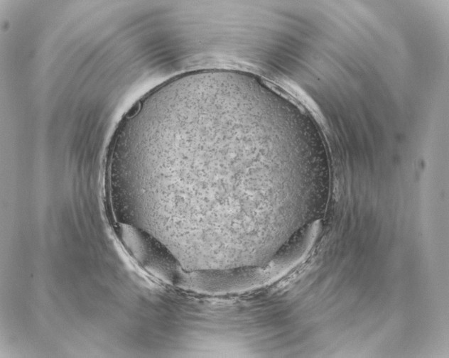 X0000087381144200705111729