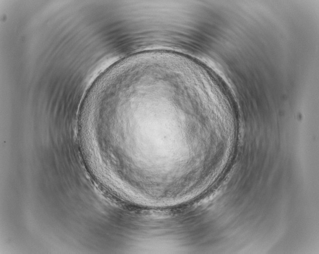 X0000087381145200705111729