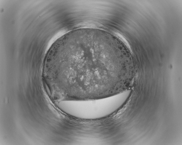 X0000087381146200705111729