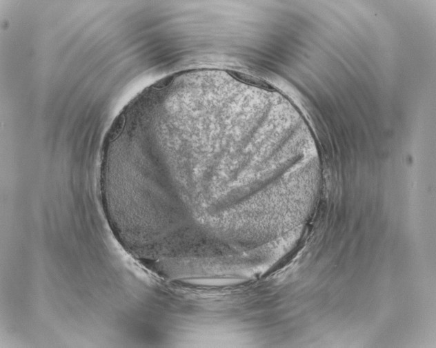 X0000087381147200705111729