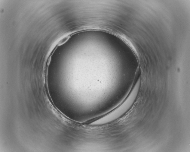 X0000087381148200705111729