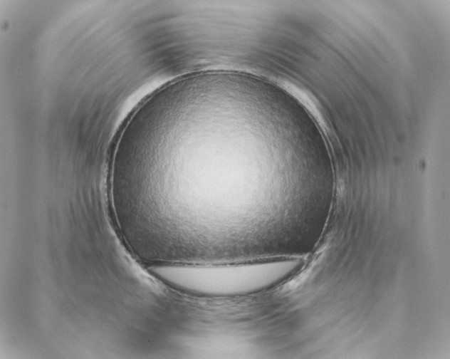 X0000087381149200705111729