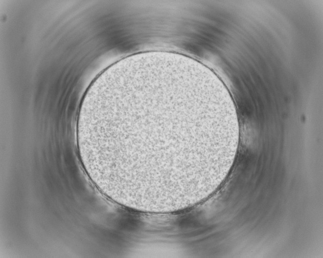 X0000087381150200705111729