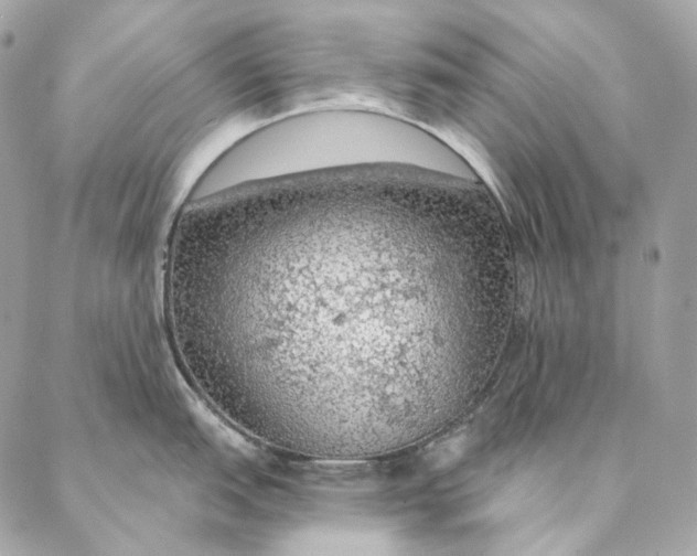 X0000087381151200705111729