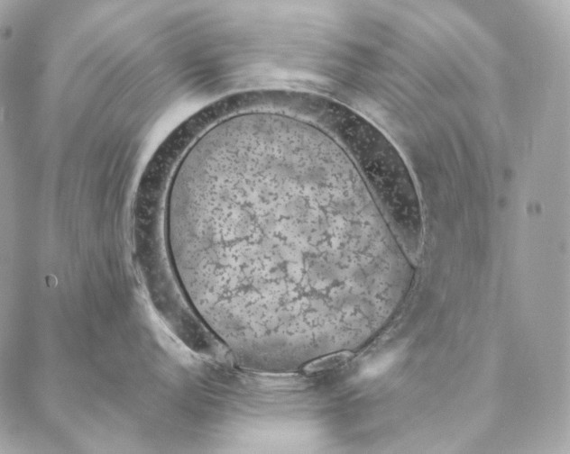 X0000087381152200705111729