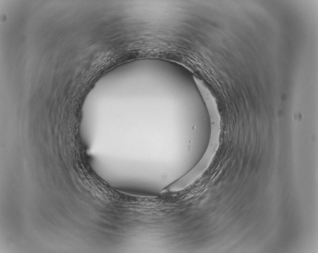 X0000087381153200705111728