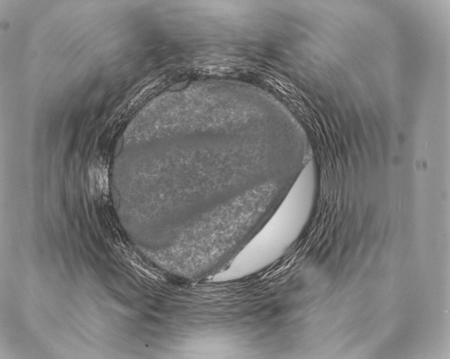 X0000087381155200705111728