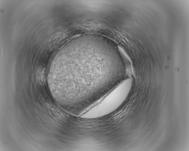 X0000087381156200705111728