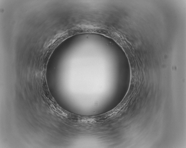 X0000087381157200705111728