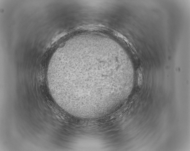 X0000087381158200705111728