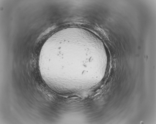 X0000087381159200705111728