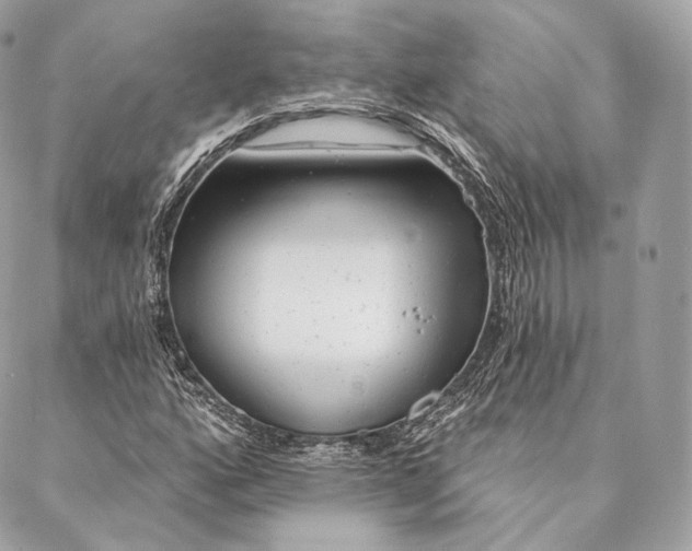 X0000087381160200705111728