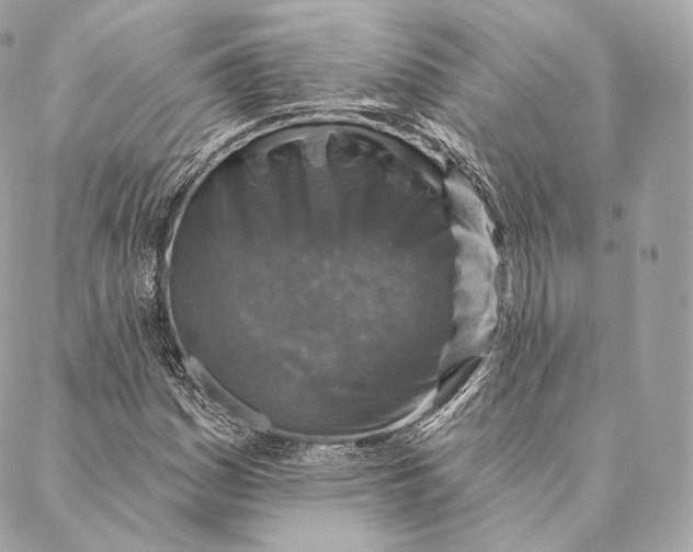 X0000087381161200705111728