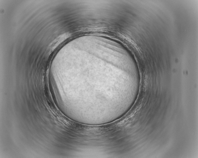 X0000087381162200705111728