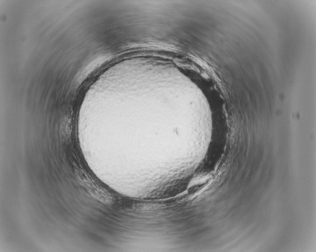 X0000087381163200705111728