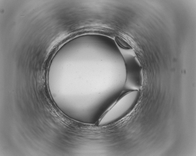 X0000087381164200705111728