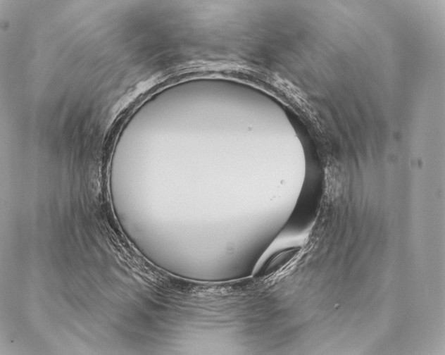 X0000087381165200705111728