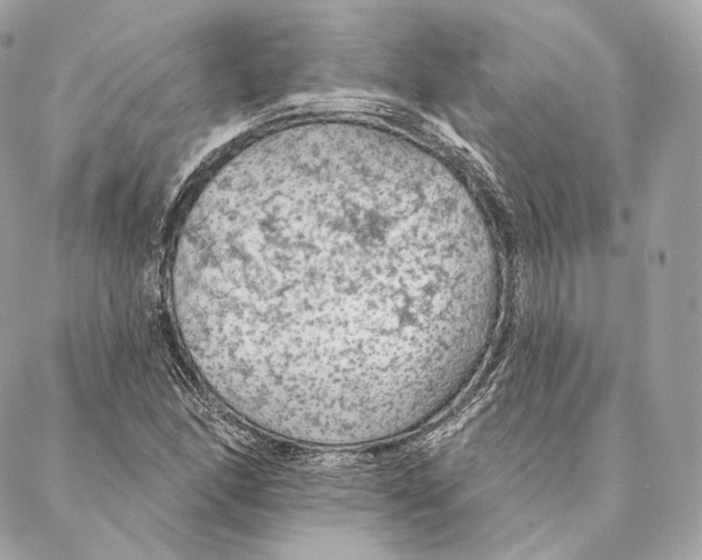 X0000087381166200705111728