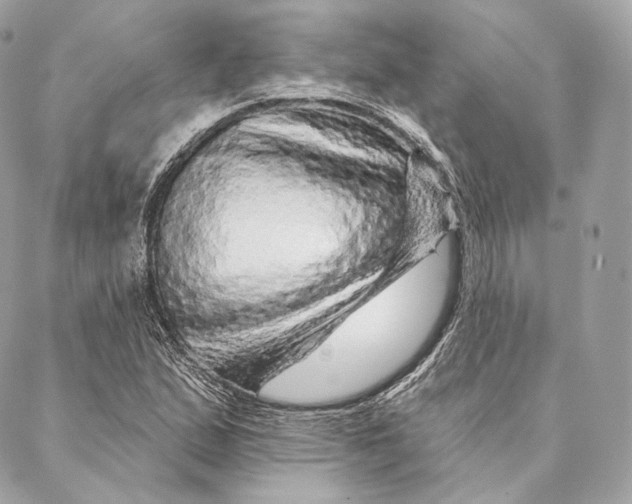 X0000087381167200705111728