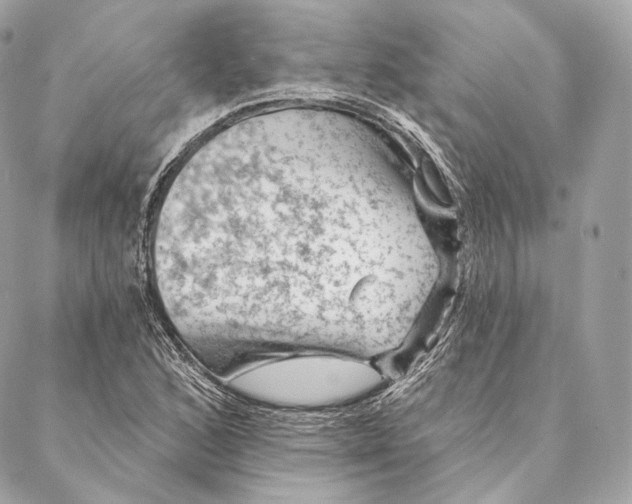 X0000087381168200705111728