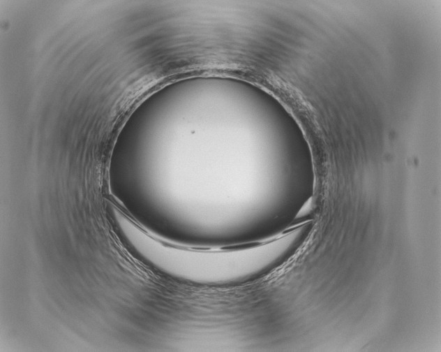 X0000087381169200705111728