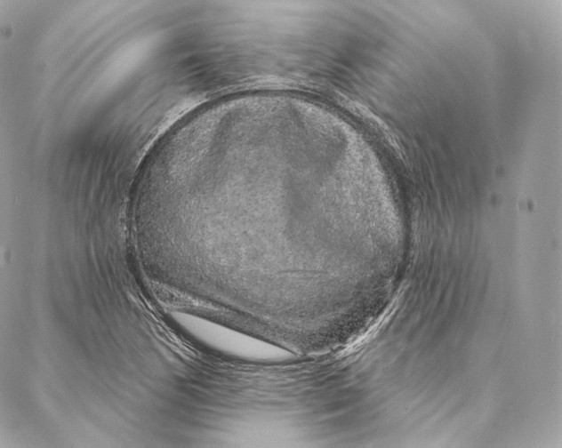 X0000087381170200705111728