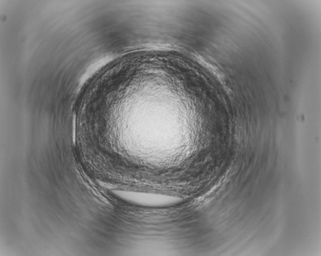 X0000087381171200705111728