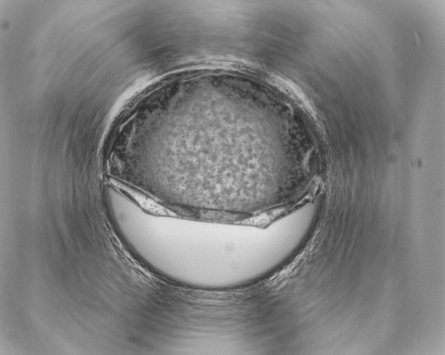 X0000087381172200705111728