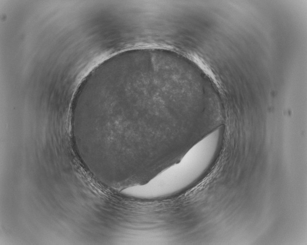 X0000087381173200705111728