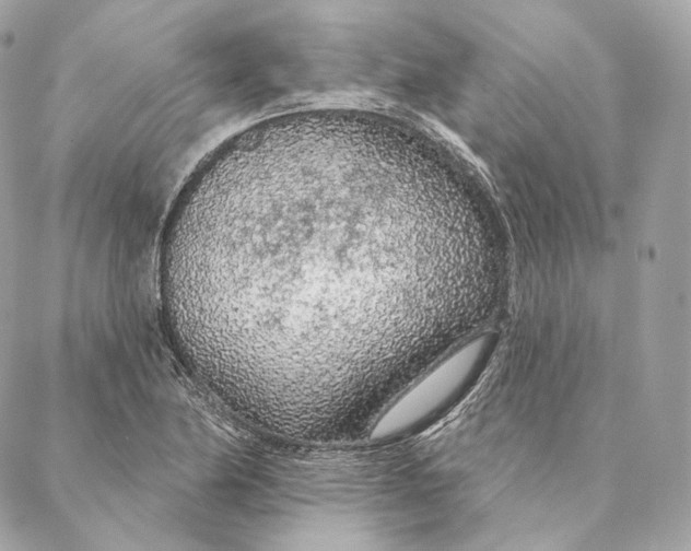 X0000087381174200705111728