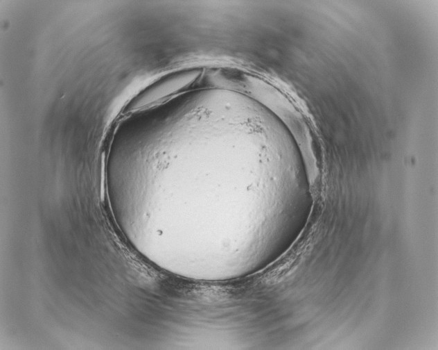 X0000087381175200705111728