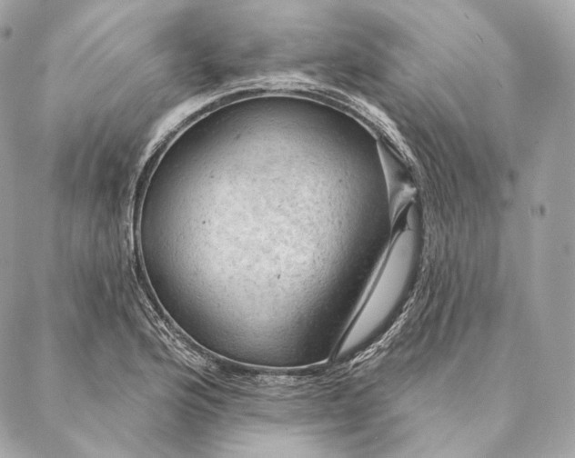 X0000087381176200705111728