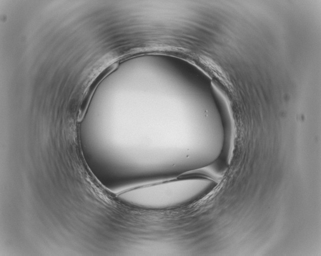 X0000087381177200705111728