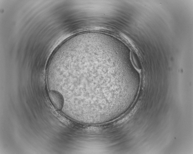 X0000087381178200705111728