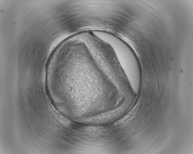 X0000087381179200705111728