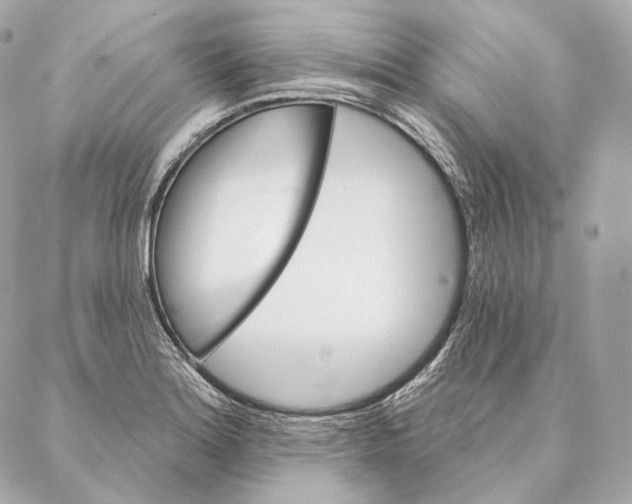 X0000087381180200705111728