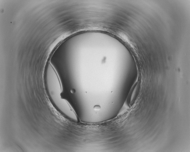 X0000087381181200705111728